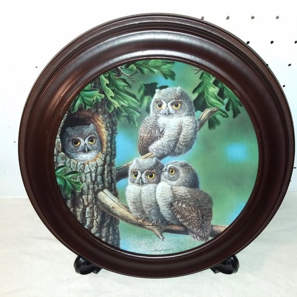 3 Bradford Exchange Owl Plates with Wood Frames and Easels - Picture 8 of 12